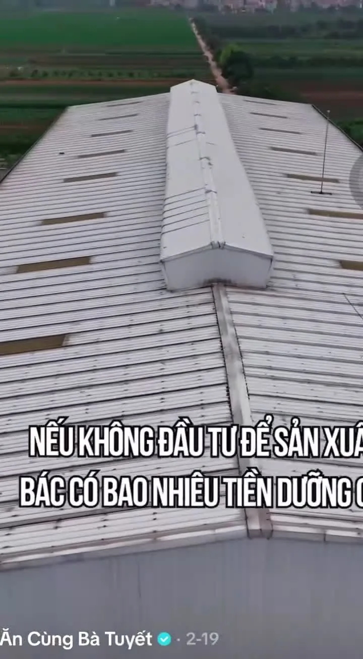 anh.moe