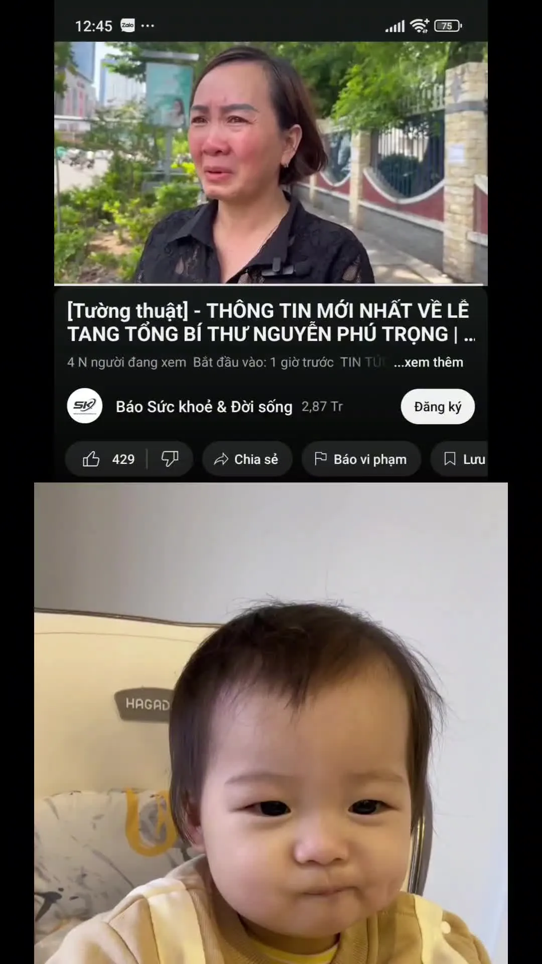 anh.moe